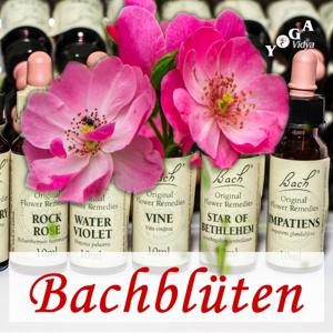 Bachblüten Therapie