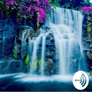 Wellspring
