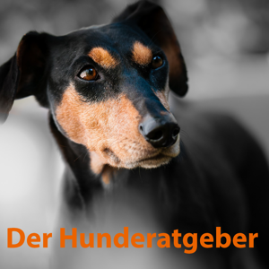 Der Hunderatgeber-alles Rund um den Hund