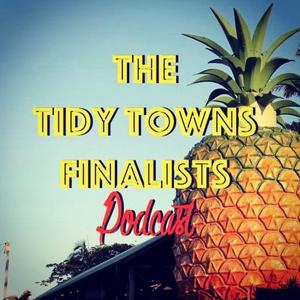 The Tidy Towns Finalists