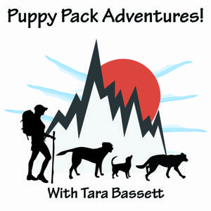 Puppy Pack Adventures Podcast with Tara Bassett