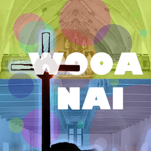 사사의 WOOANAI