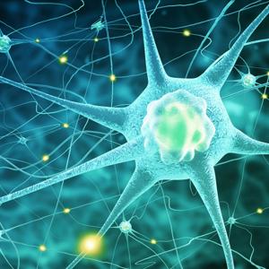 Astrocytes