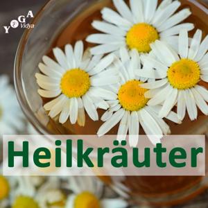 Heilkräuter und Heilpflanzen – Pflanzenheilkunde