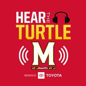 Hear The Turtle