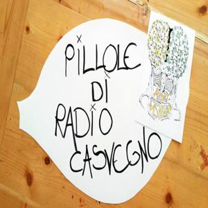 Radio Gwendalyn - Progetto Casvegno 2016/2017