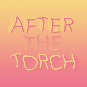 After the Torch - Survivor Podcast