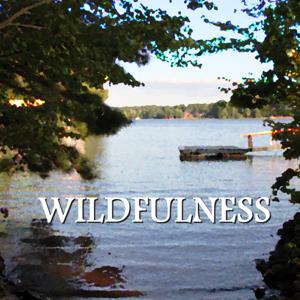 Wildfulness: On Nature, Wellness, and Life in the Allegany Highlands Deep Creek