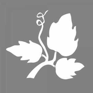 BotanyLife Community Church