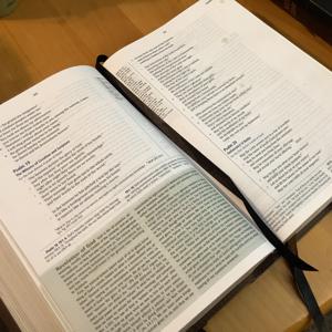 Doug Hibbard: Sermons and Thoughts
