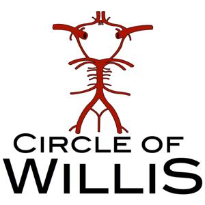 Circle of Willis