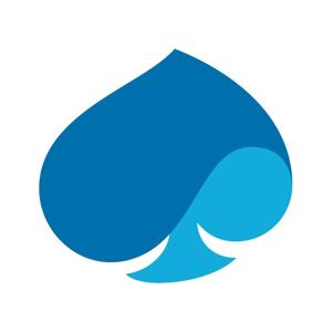 Capgemini Americas Corporate Social Responsibility