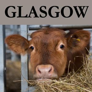 Veterinary Medicine by University of Glasgow