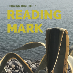Reading Mark