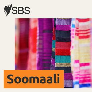 SBS Somali - SBS Afsomali by SBS