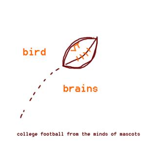 Bird Brains