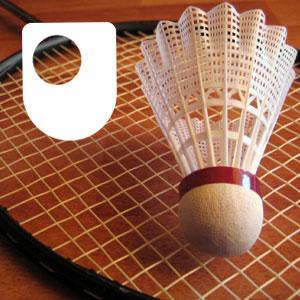 Badminton: Fitness and Training - for iPod/iPhone