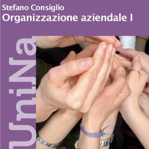 Organizzazione Aziendale LF « Federica