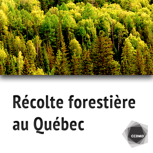 Récolte forestière au Québec (album des vidéos) by Danielle Babin