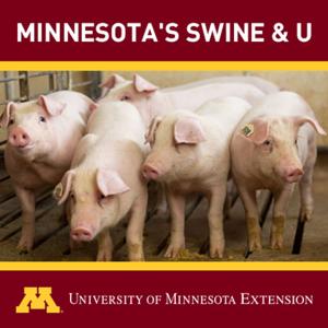 Minnesota's Swine & U by UMN Swine Extension