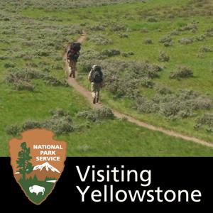 Visiting Yellowstone by 