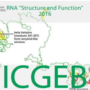Rna Structure and Function 2016