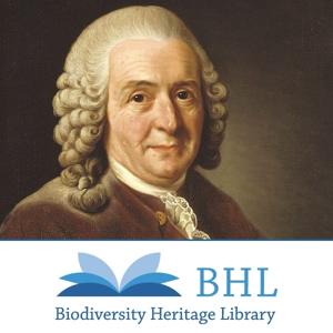 Carl Linnaeus Collection