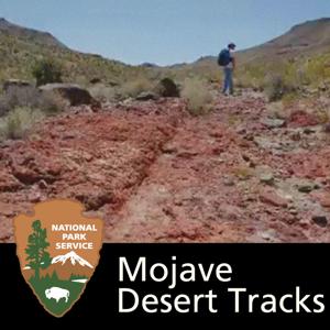 Mojave Desert Tracks by 