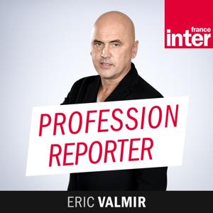 Profession reporter
