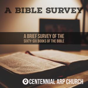 A Bible Survey - A Brief Survey of the Sixty-Six Books of the Bible