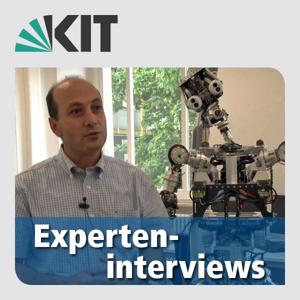 Experteninterviews