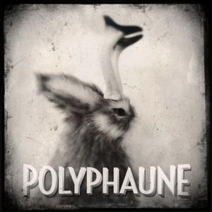 Polyphaunes by Phaune Radio