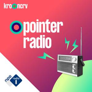 Pointer radio