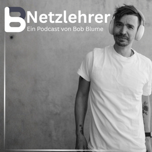 Netzlehrer