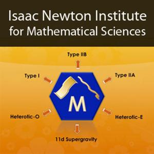 Mathematics and Applications of Branes in String and M-theory by Cambridge University