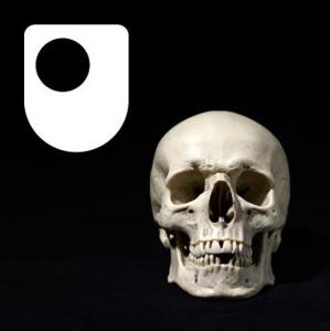 Repatriation and returning remains - for iPod/iPhone