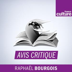 Avis critique