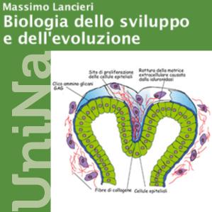 Biologia dello Sviluppo e dell'Evoluzione « Federica