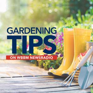 Gardening Tips on WBBM Newsradio