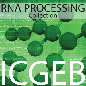 Rna Processing