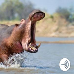 True Hustler's Podcast