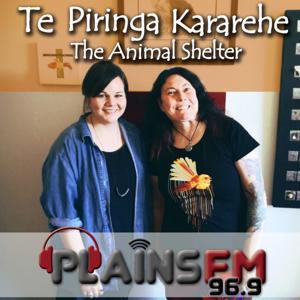 Te Piringa Kararehe - The Animal Shelter