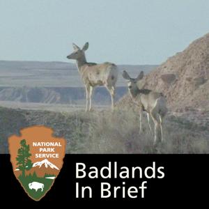 Badlands in Brief by 