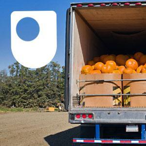 Supply chains: the supermarket - for iPod/iPhone