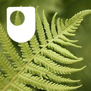 Environmental Ethics - for iPod/iPhone by The Open University