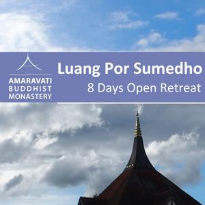 Amaravati Retreat 2017 - Ajahn Sumedho