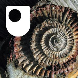 Fossil Detectives - for iPod/iPhone by The Open University