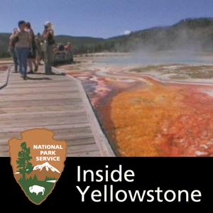 Inside Yellowstone by 