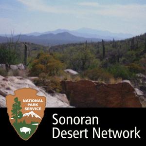 Sonoran Desert Network by 