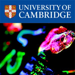 Research Horizons by Cambridge University